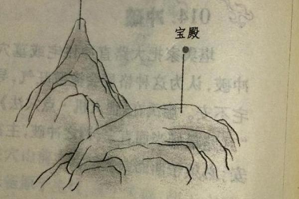 从董易林风水讲座视频看如何运用风水改善生活