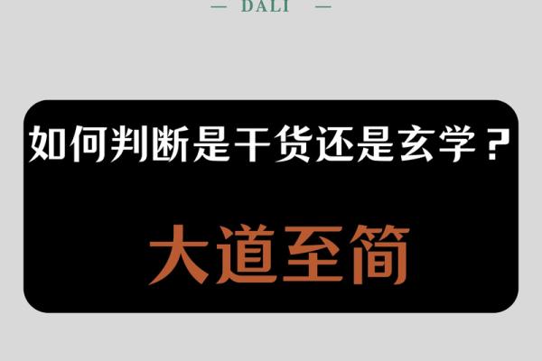 如何为网络运营公司起个有吸引力的名字