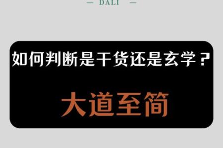 如何为网络运营公司起个有吸引力的名字