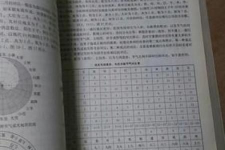 来字五行属性分析与应用探讨
