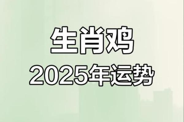 属鸡人的运势解析：如何把握好运机遇