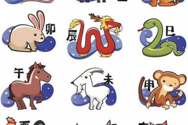 出生属相的命运走向