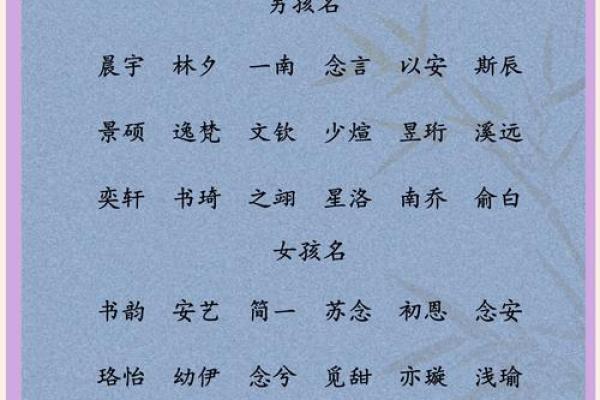 宝宝名字中的文化传承与现代风格