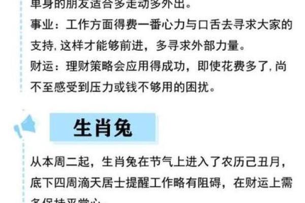 各生肖运势运程详解