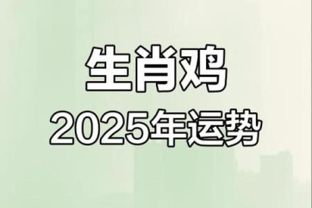 属鸡人的运势解析：如何把握好运机遇