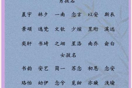 宝宝名字中的文化传承与现代风格