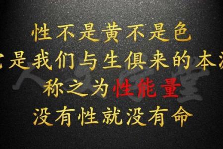 男龙女虎是否天作之合？深入探讨两性关系