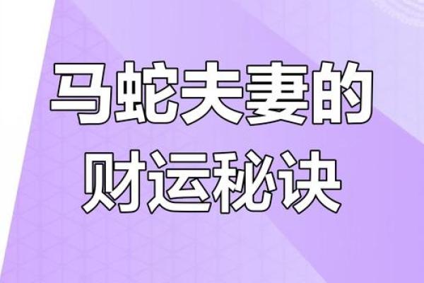 属龙与属马的婚配如何影响感情和事业发展