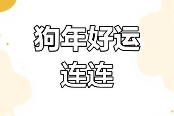 生肖猪狗年每月运程预测：如何把握好运