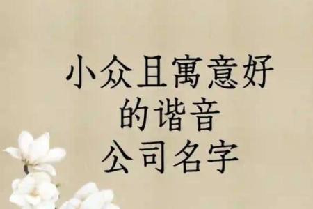 从涛字看公司命名的深远意义与独特魅力