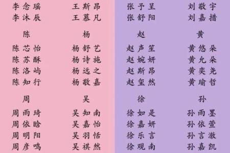 如何根据家族背景为宝宝起个合适的名字