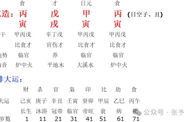 丙寅年火命的深层解析与命理意义