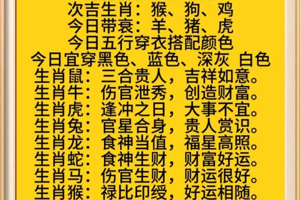 生肖与运势：如何在这一年把握最佳机会
