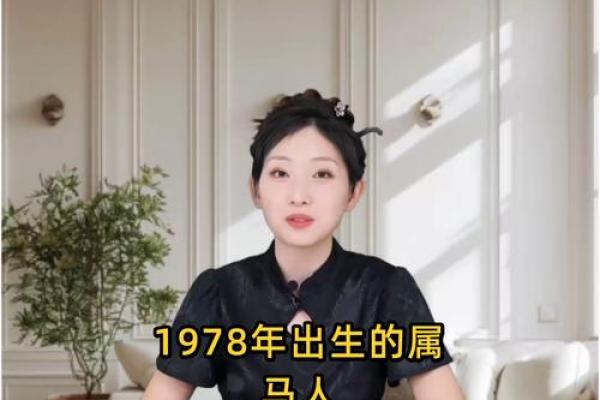 出生的人属马，命运如何影响他们的一生