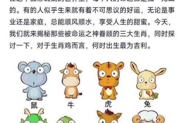 十二生肖运势盘点与解读