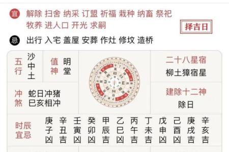 免费八字算命揭秘：如何通过生肖看一生运程