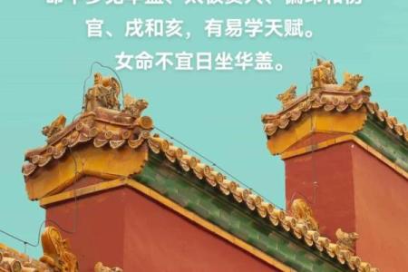 八字带华盖是什么意思？揭开这一命理现象的神秘面纱