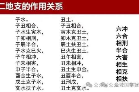 财地命的概念与解析：你是否拥有财运的关键