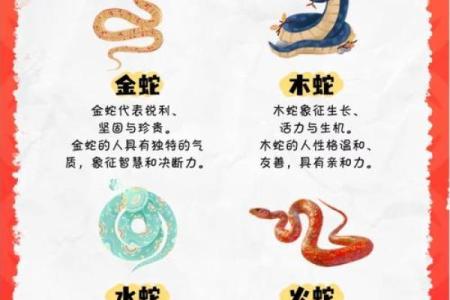本命年蛇女如何打破旧有的限制