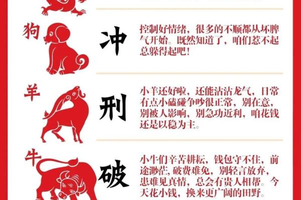 属龙相配指数：如何判断龙年生人的最佳配对组合