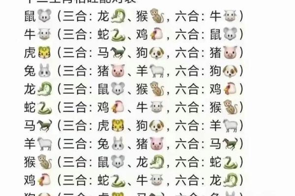 属龙相配指数：如何判断龙年生人的最佳配对组合