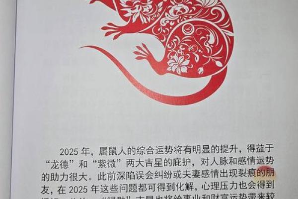 十二生肖与运程：如何根据生肖调整未来计划