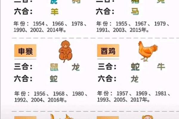 十二生肖与运程：如何根据生肖调整未来计划