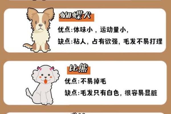 从五行犬舍看狗狗健康养护的关键因素