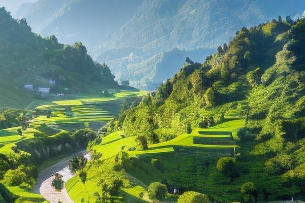 打造招财绿色风水图,开启财富之门 打造招财绿色风水图,开启财富之门