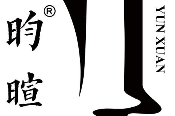 亓姓公司起名的独特策略与创意启发