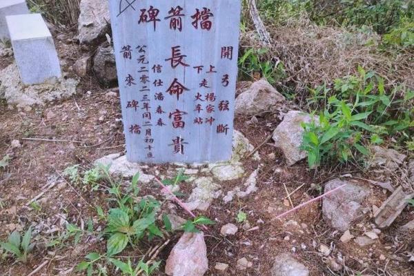 八字带将军箭的人有哪些独特优势