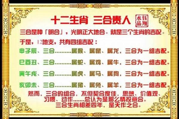 探讨女属狗与男属鼠的性格契合度