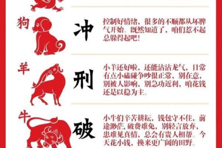 属龙相配指数：如何判断龙年生人的最佳配对组合