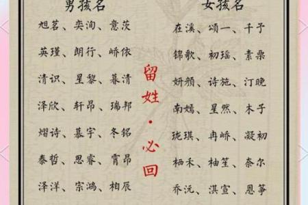 宝宝命名灵感：游戏中的名字如何更具个性