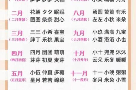 宝宝起名字测试打分，帮你选出最合适的名字方案