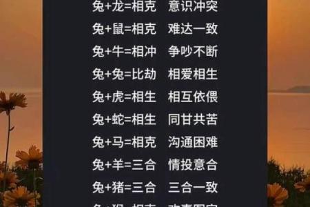 猴与猴的婚姻契合度有多高？揭开它们的婚配真相