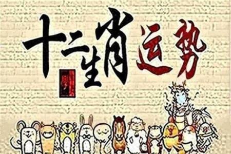 探讨下周生肖运程：哪些生肖将迎来转机？
