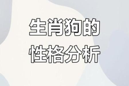 属狗与属羊的性格差异与相配度探讨