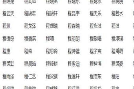 夏姓鸡宝宝起名指南：从五行八字看合适名字选择