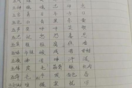宝宝五行测试揭秘：如何通过五行了解宝宝的性格和健康状况
