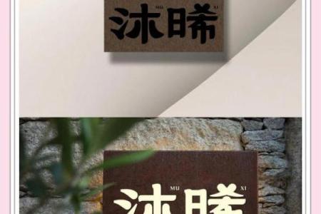 创意商标名字的灵感与选择技巧