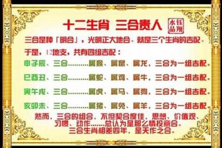 探讨女属狗与男属鼠的性格契合度