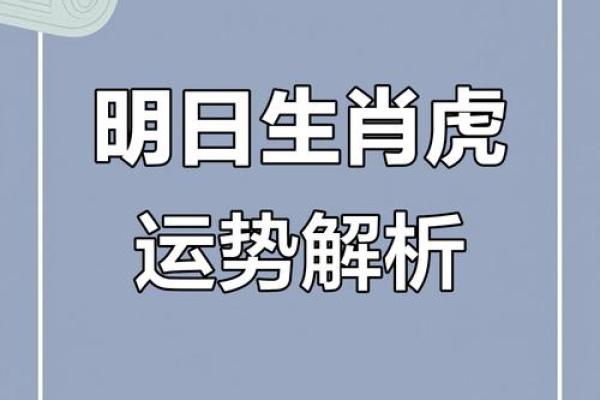 属虎的全年运势解析