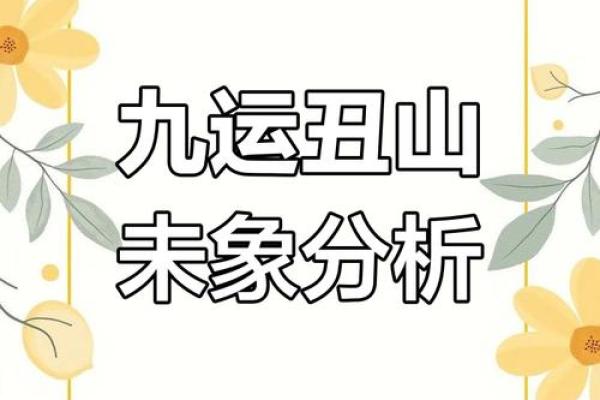 打造完美家居风水青羊区布局要点解析