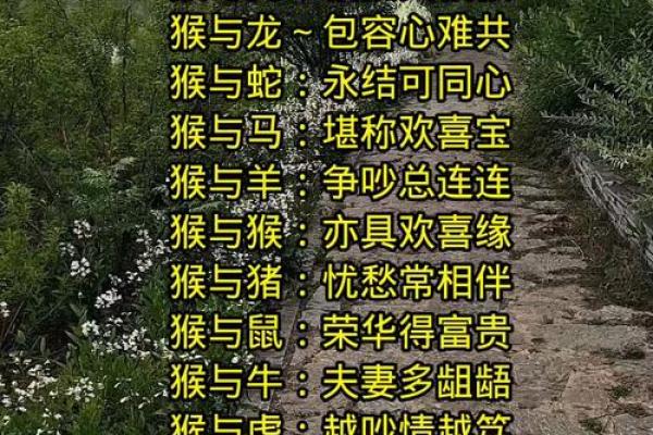 虎猴婚姻配对：互补与挑战中的完美平衡