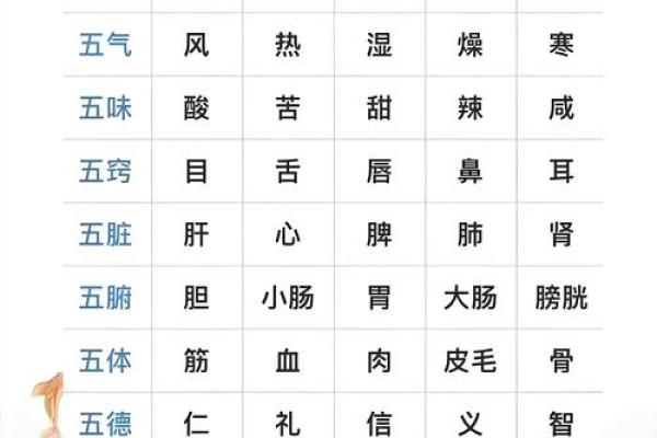 出生的人五行属性是什么？解读你的命运与性格特点