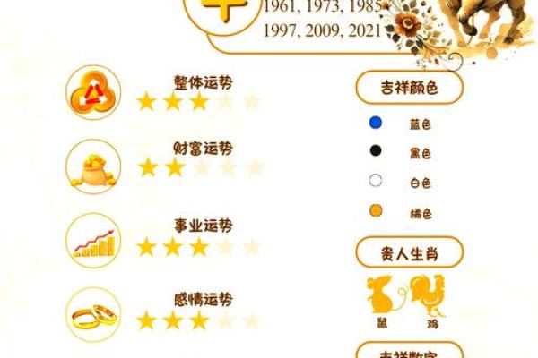 龙金牛座的财富与事业运势走向，如何做出明智决策