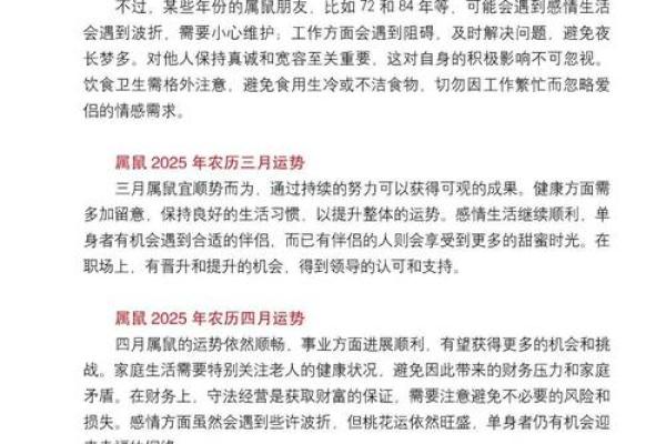 鼠的每月运程揭秘：月度运势如何影响你的生活与决策