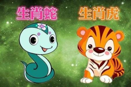 属蛇与属虎的生肖配对分析：是否合适？
