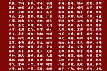 如何为男孩挑选合适的带磊名字